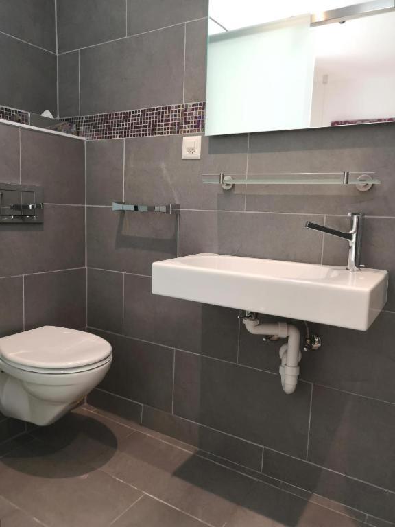 Hotel Du Raisin Λωζάνη Εξωτερικό φωτογραφία